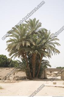 Photo Reference of Karnak Temple 0113